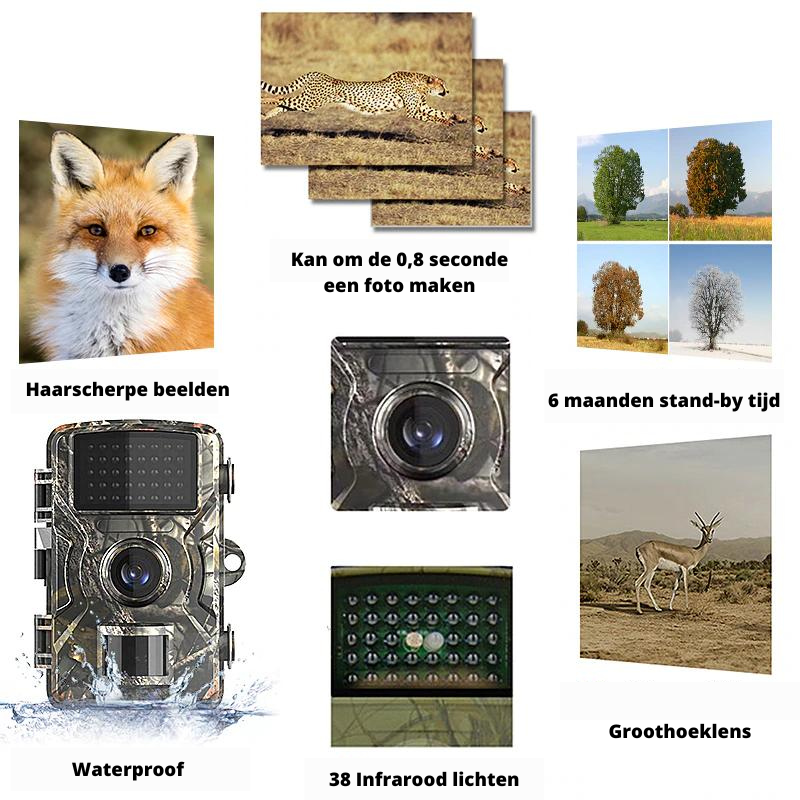 TrailVision - Compact 4K Outdoor Camera with Night Vision
