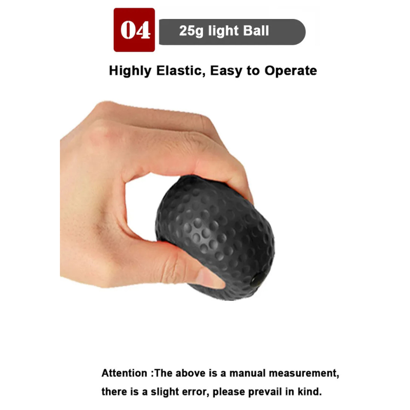 PunchPro - Boxing Reflex Ball Trainer