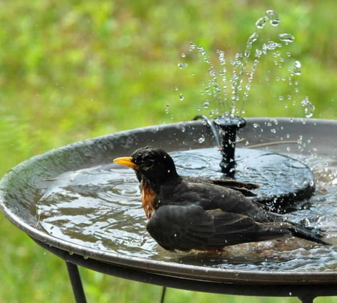 Flowbee - Solar Bird Bath Fountain