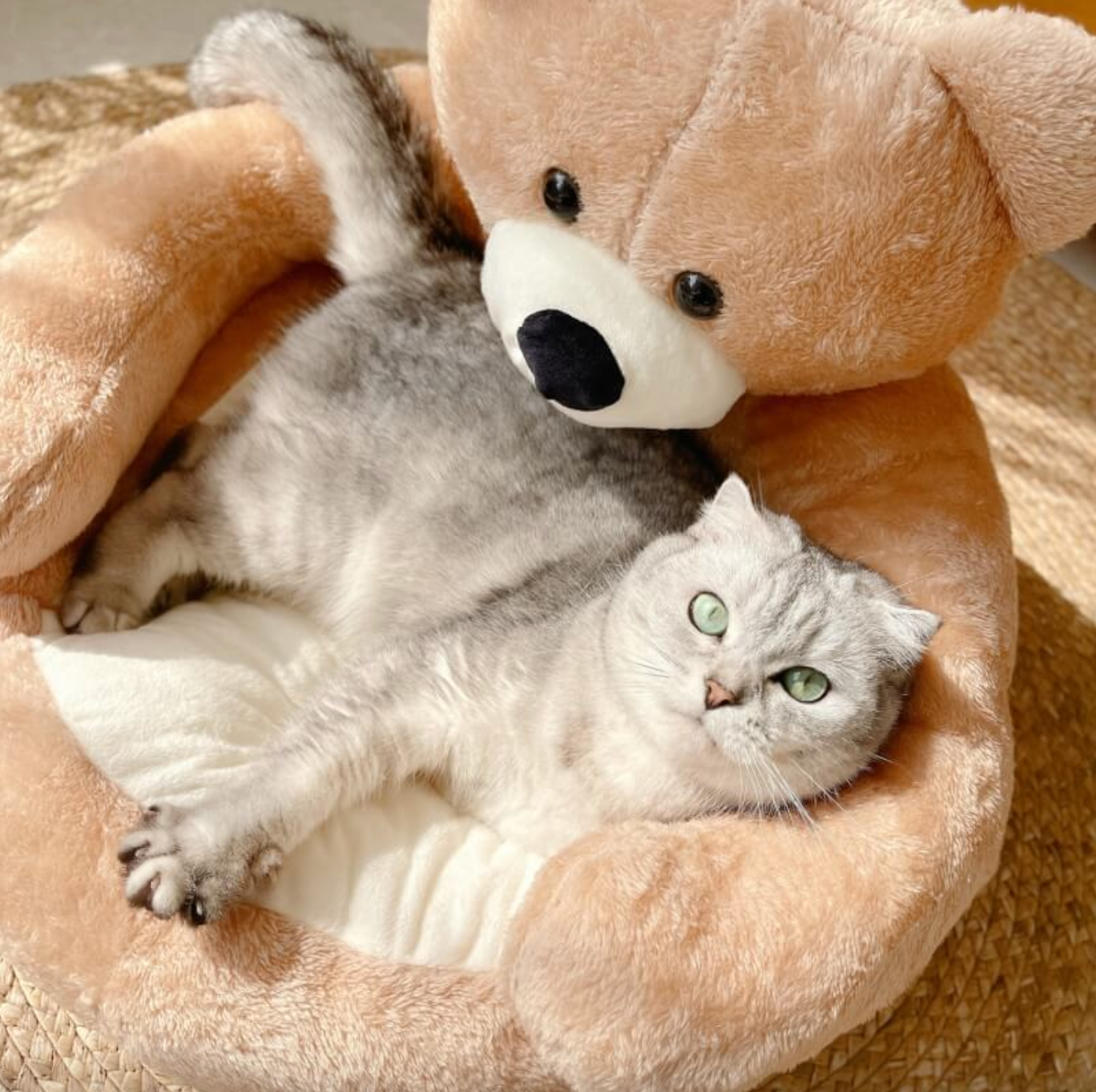 Samiya - Plush Calming Cat Bed for Cozy Sleep