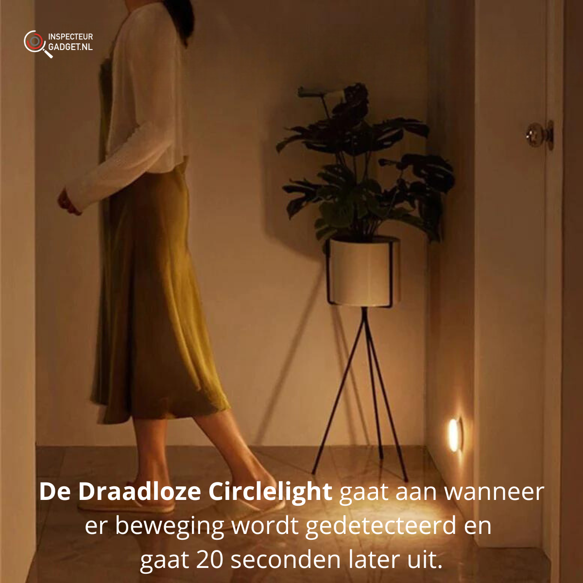 Circlelight - Cordless Wall Light