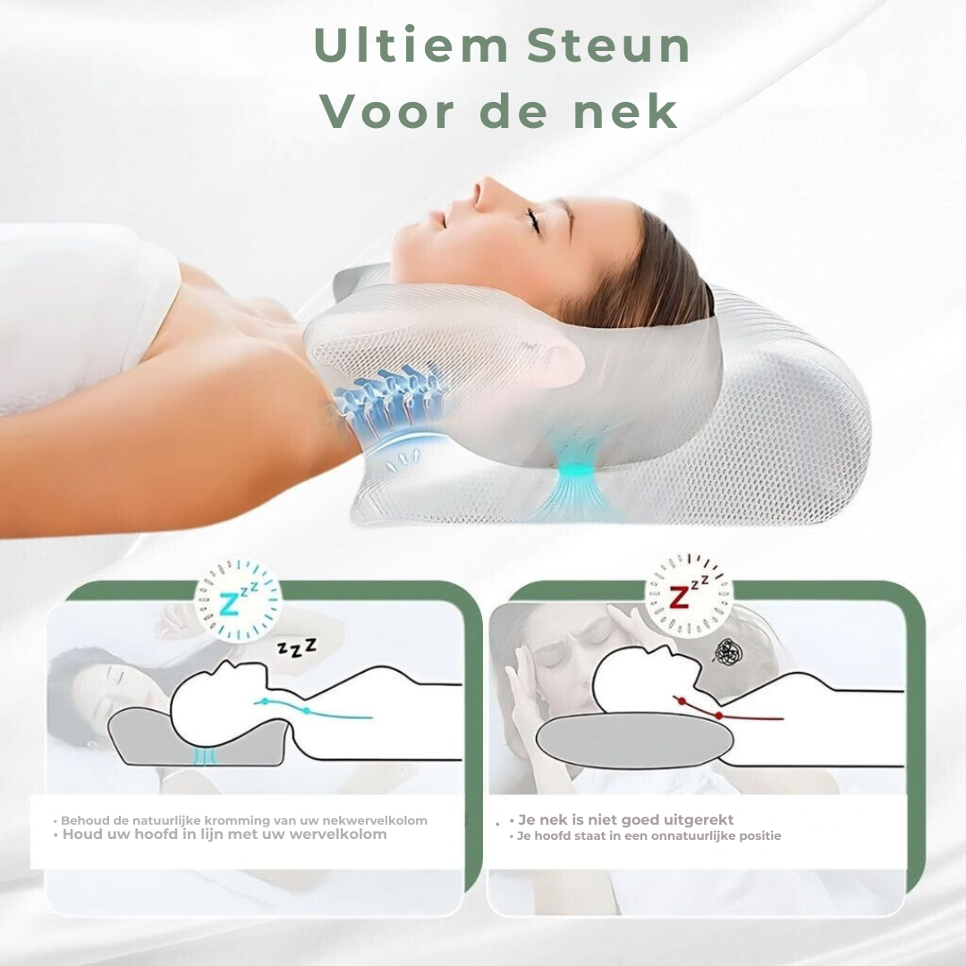 DreamAlign Orthopedic Memory Foam Pillow