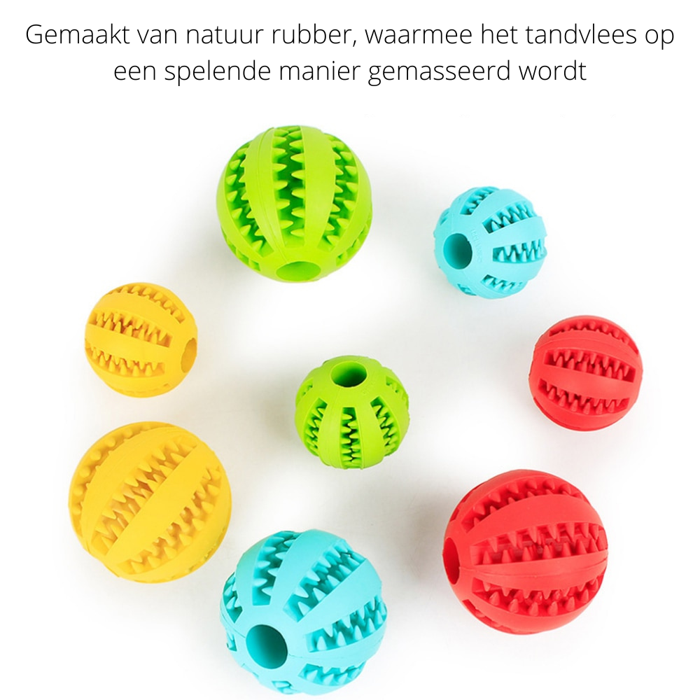 PlayMaster - Durable Interactive Dog Toy