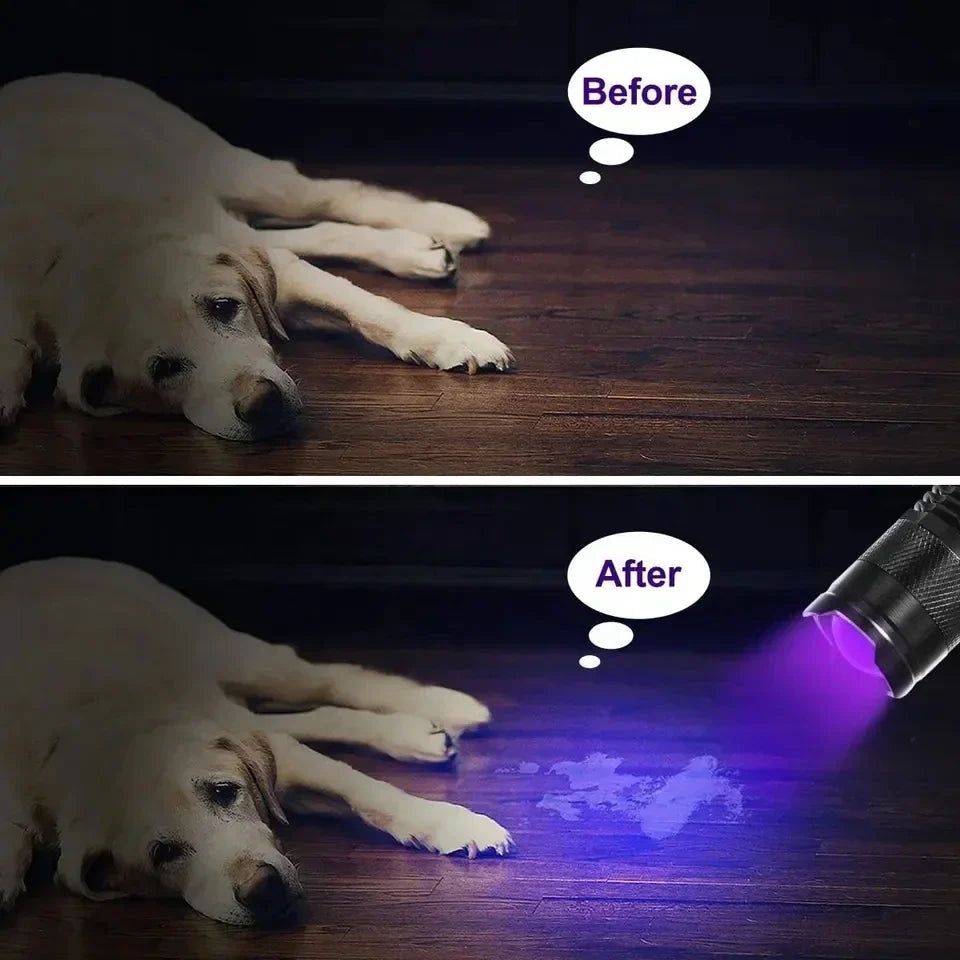 GlowInspect | UV LED Torch for Invisible Stain Detection with Compact Design | Lightweight and Durable for Home Use 4