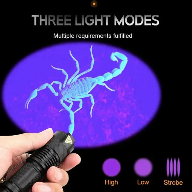 GlowInspect | UV LED Torch for Invisible Stain Detection with Compact Design | Lightweight and Durable for Home Use 6