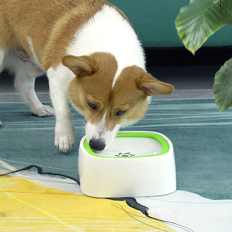 Pet Splash Bowl - Automatic Floating Water Fountain