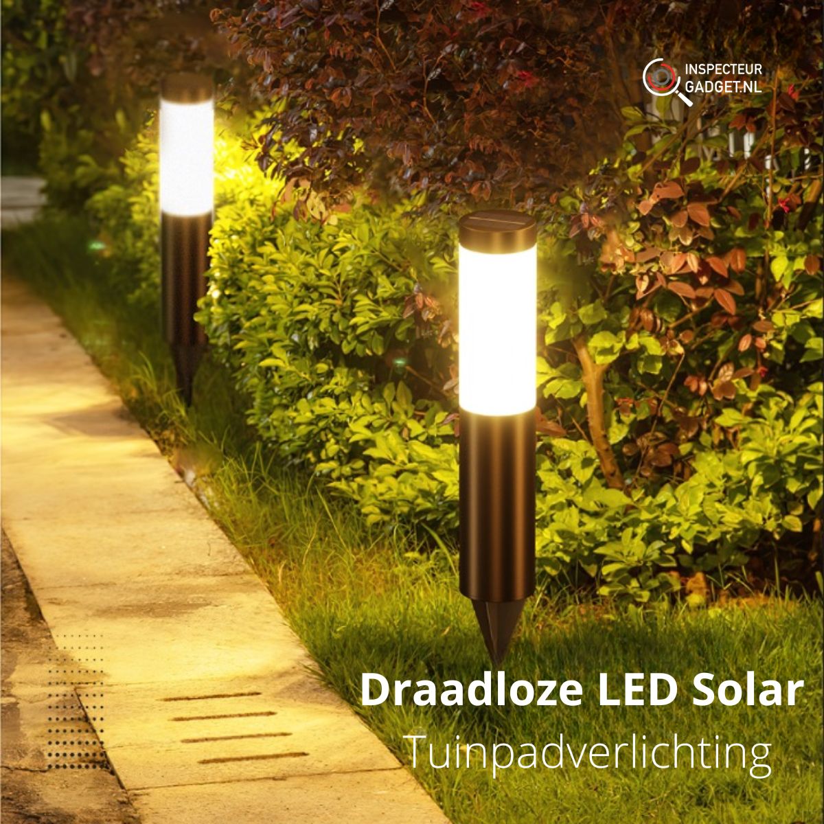 Solar Path Light - Outdoor Garden Walkway Light