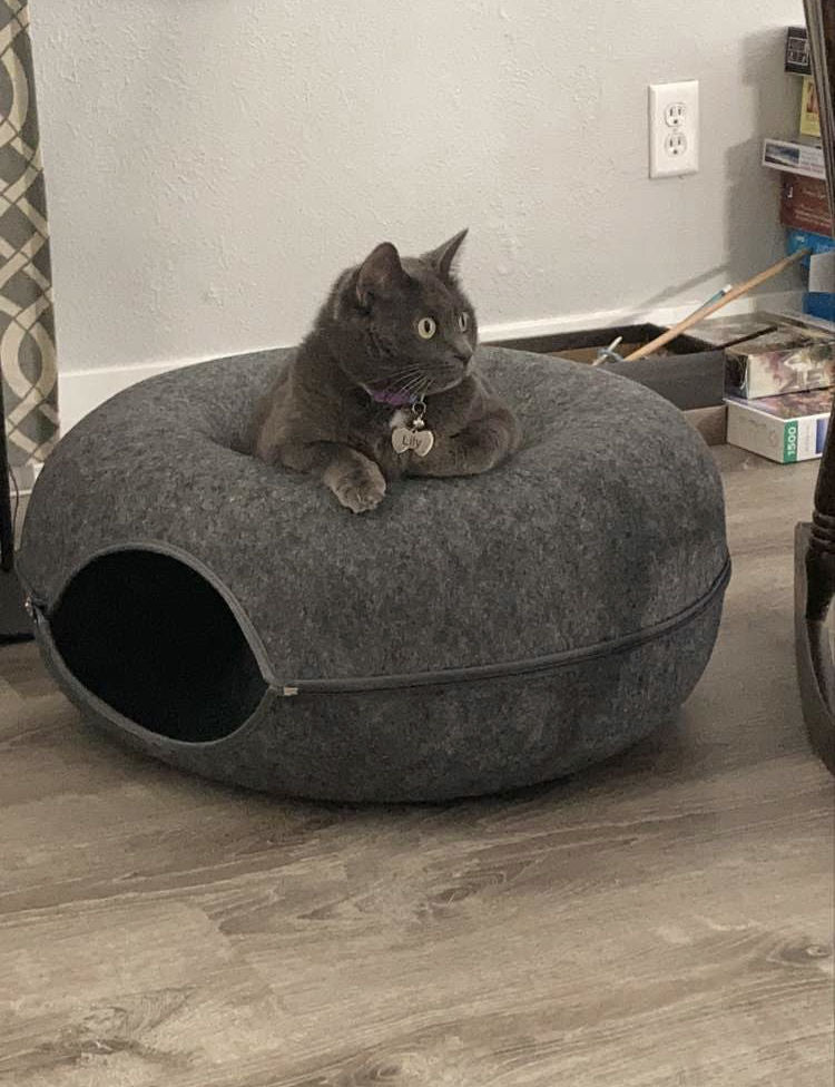Purrfect Den - Cozy Cat Tunnel Bed with Plush Sleeping Nook