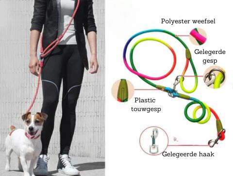 FreedomLeash - Hands-Free Dog Leash for Active Walks
