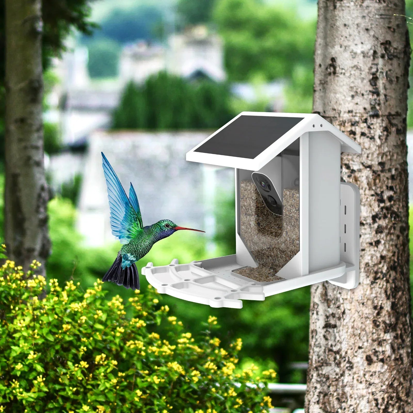Solar Bird Feeder - Wireless Garden Feeder