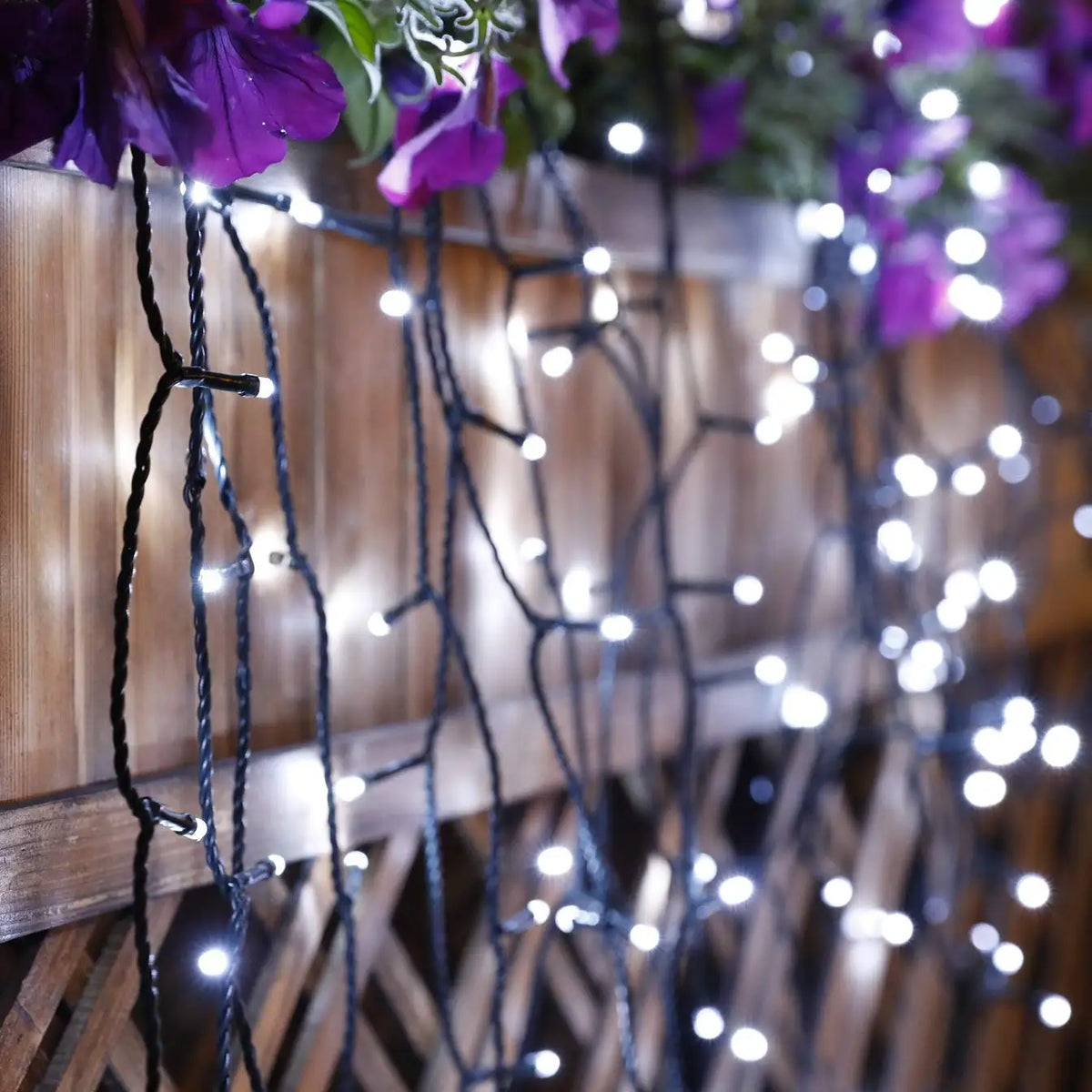 Tidings - Outdoor Christmas Lighting