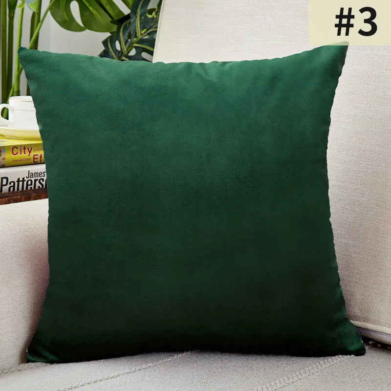 Velvet Elegance Cushion Cover - Luxe Solid Velvet
