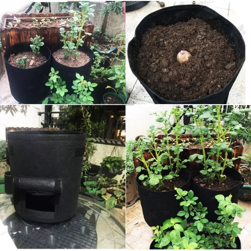 GrowMaster Pots - Stylish Grow Pot for Fresh Vegetables