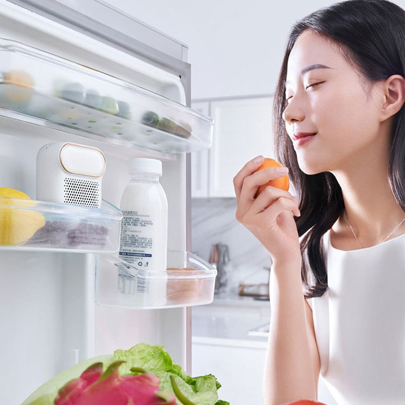 FreshBreeze - Fridge Deodoriser & Odour Remover