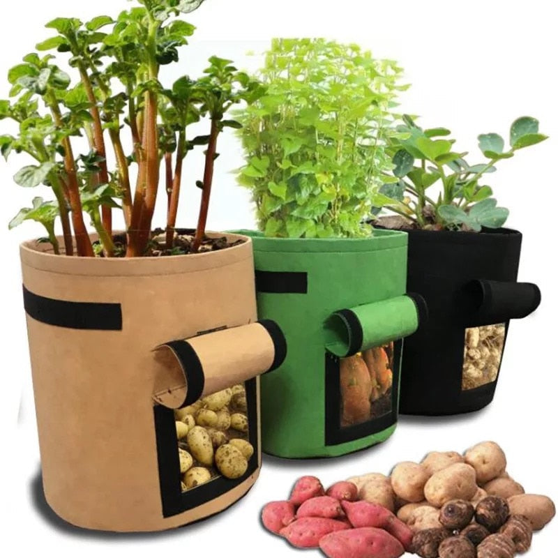 GrowMaster Pots - Stylish Grow Pot for Fresh Vegetables