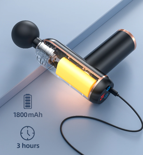 ProMassage Powerful Everyday Massage Gun