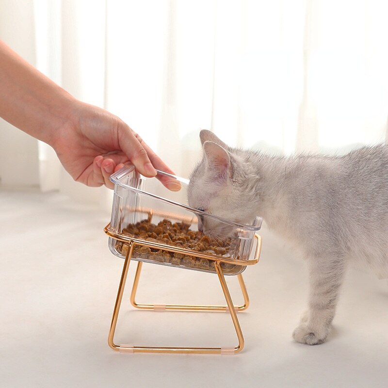 PetChic - Trendy Raised Pet Bowl