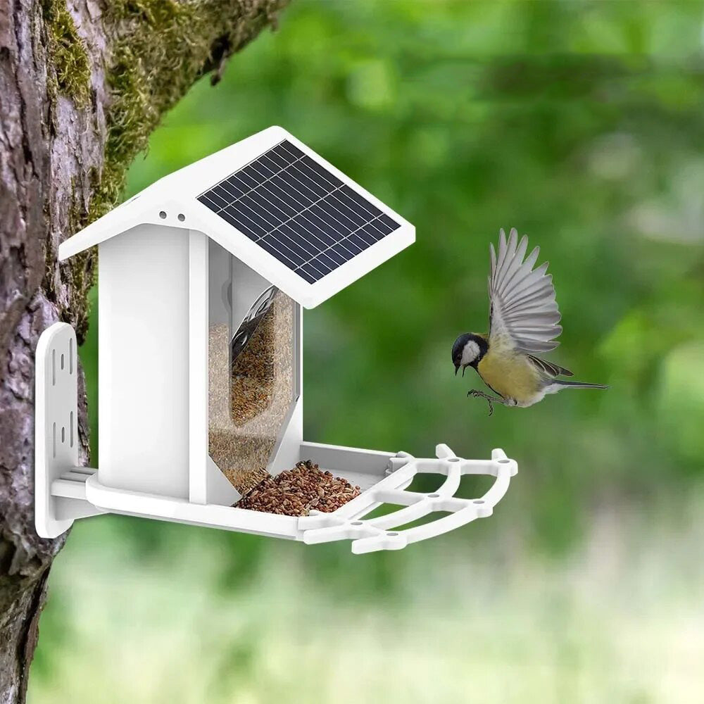 Solar Bird Feeder - Wireless Garden Feeder