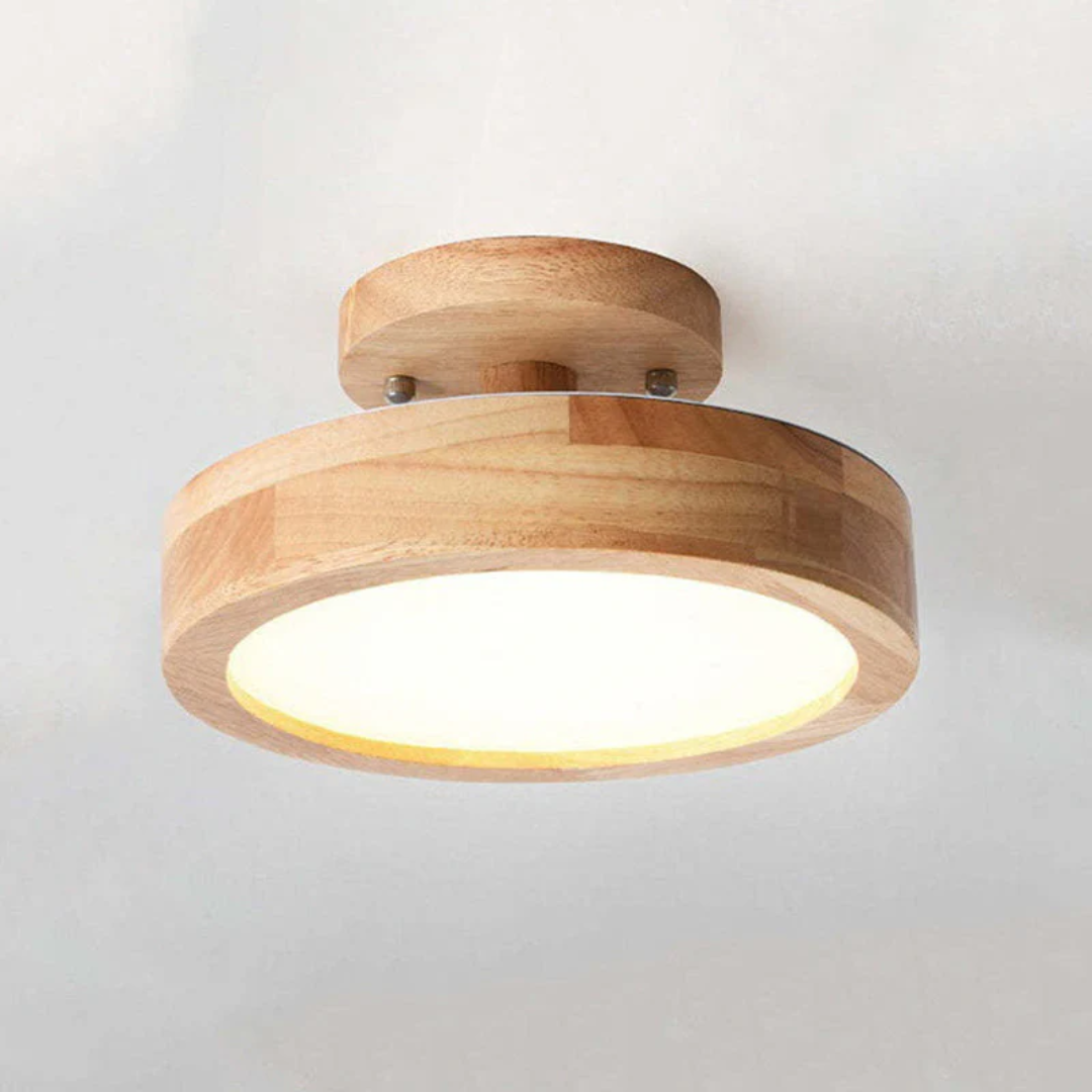 NovaGlow - Modern LED Ceiling Lamp with Adjustable Light
