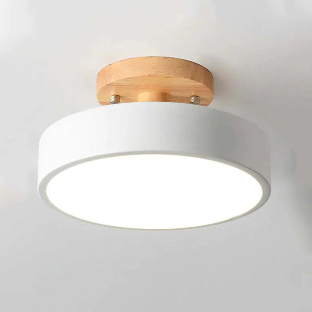 NovaGlow - Modern LED Ceiling Lamp with Adjustable Light