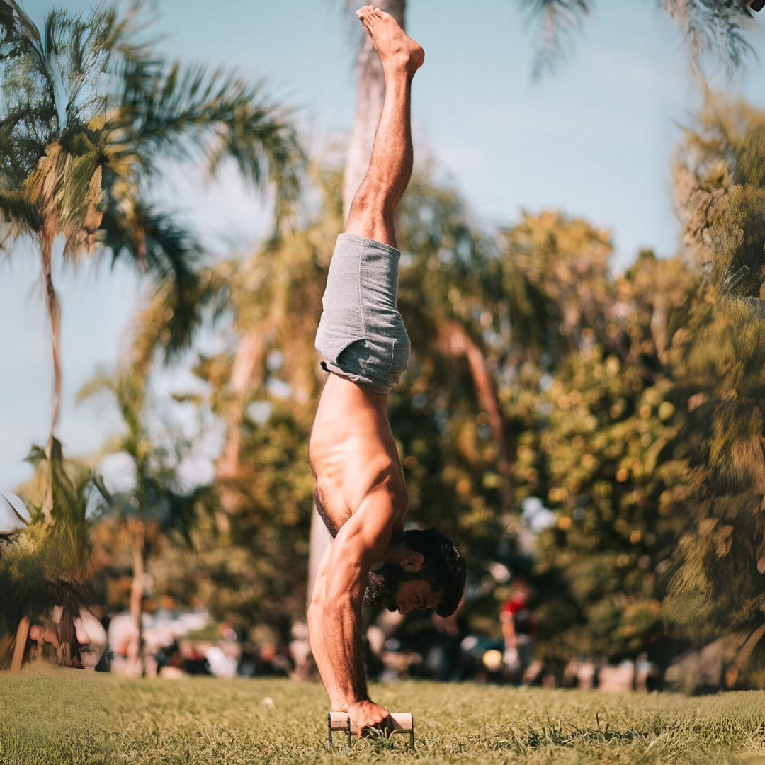PowerGrip - Wooden Push-Up Parallettes with Non-Slip Base
