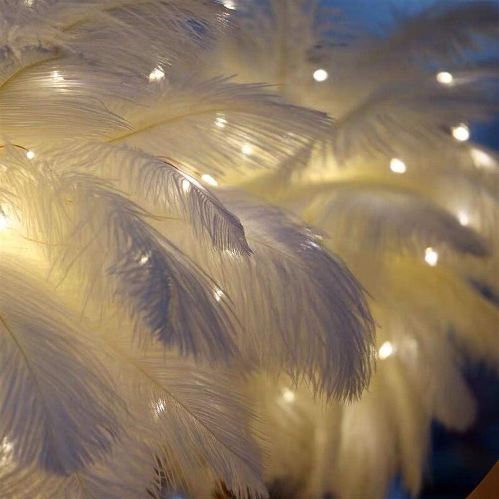 OstrichGlow Nightlight - Decorative Feather Mood Lamp