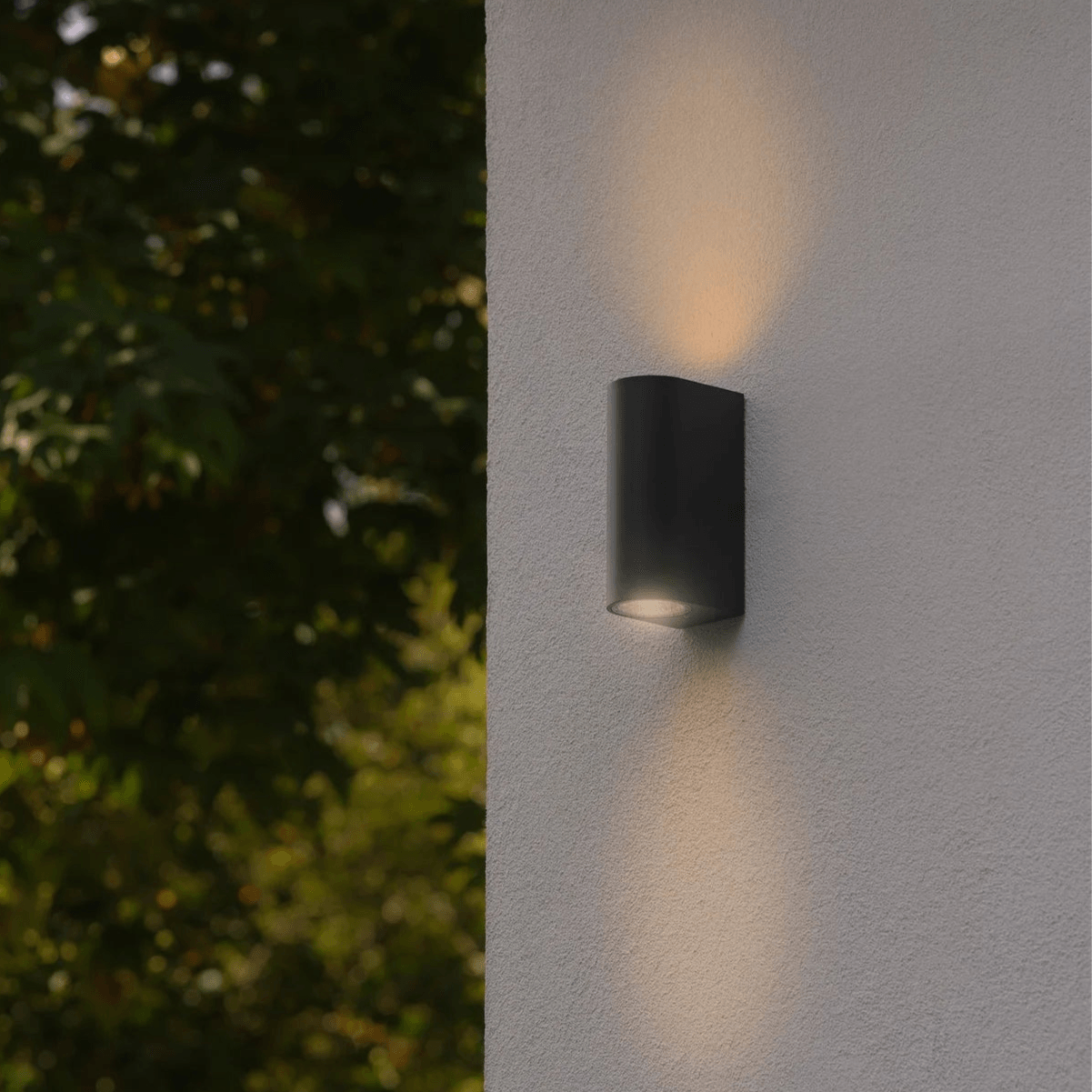 Dion Outdoor Lamp - Oval Up-Down LED Wall Light
