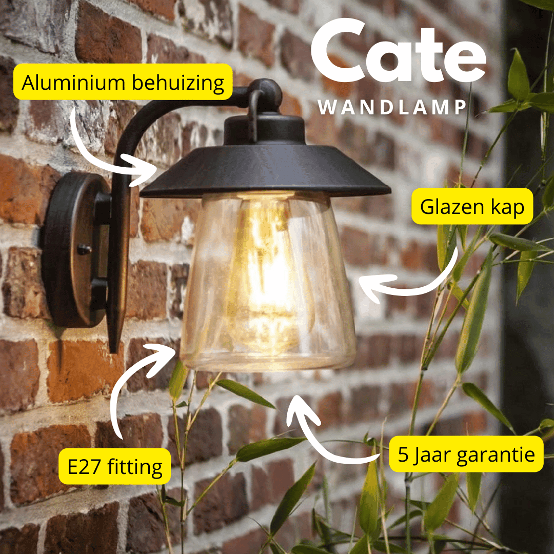 Cate Outdoor Light - Black Glass and Rust LED Wall Lamp