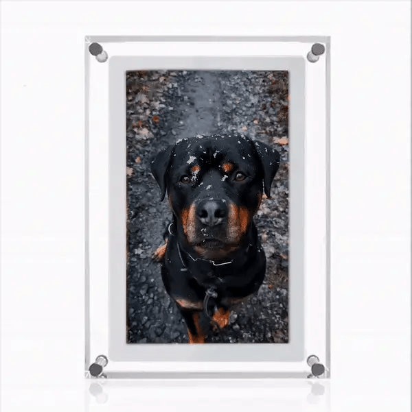 Digital Photo Frame - Smart WiFi Picture Display