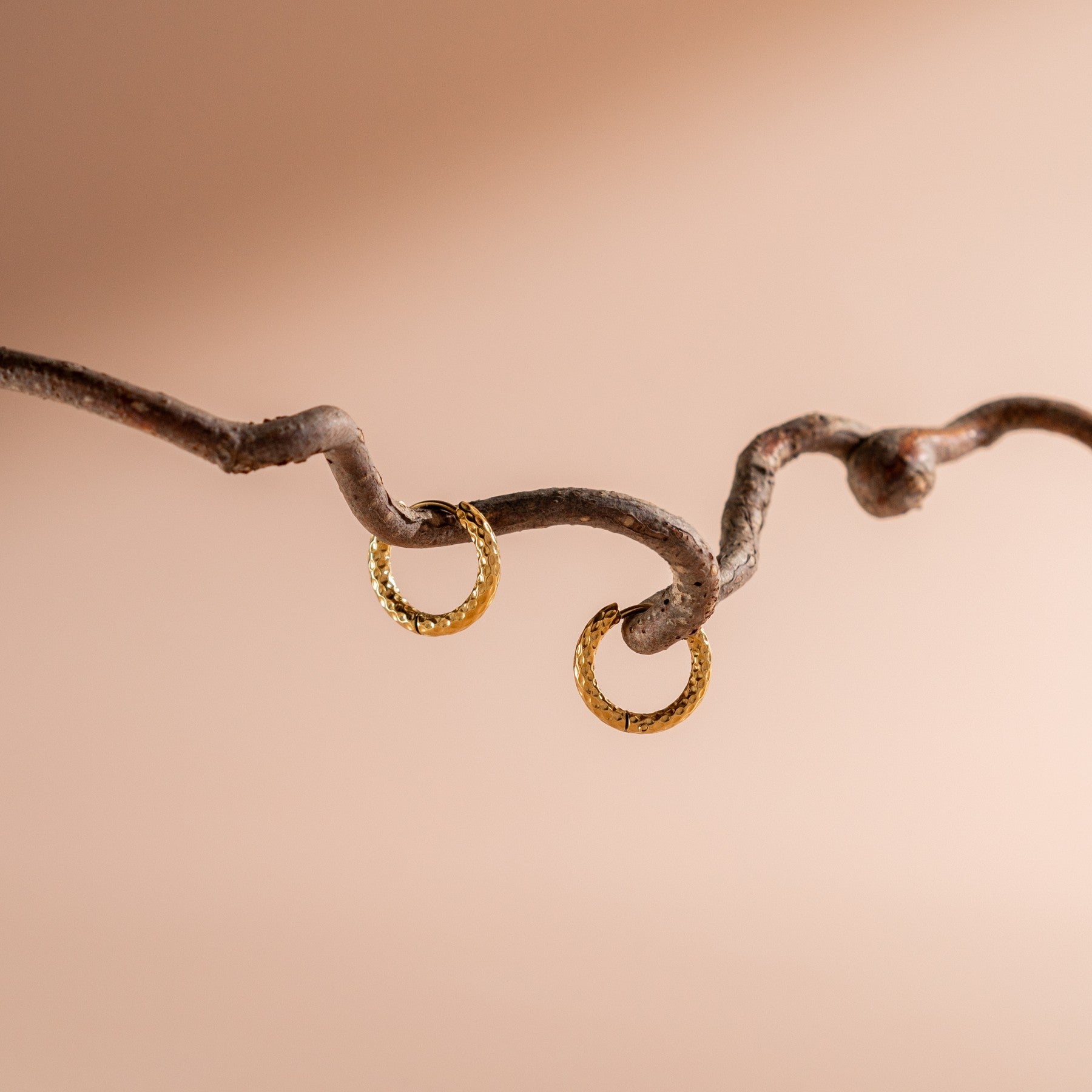Livia - Sparkling Hammered Hoop Earrings for Women