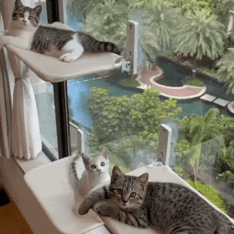 PawPerch - Foldable Cat Hammock for Cozy Lounging
