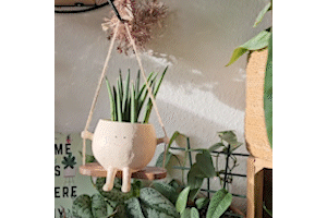 GreenOasis - Elegant Hanging Plant Basket