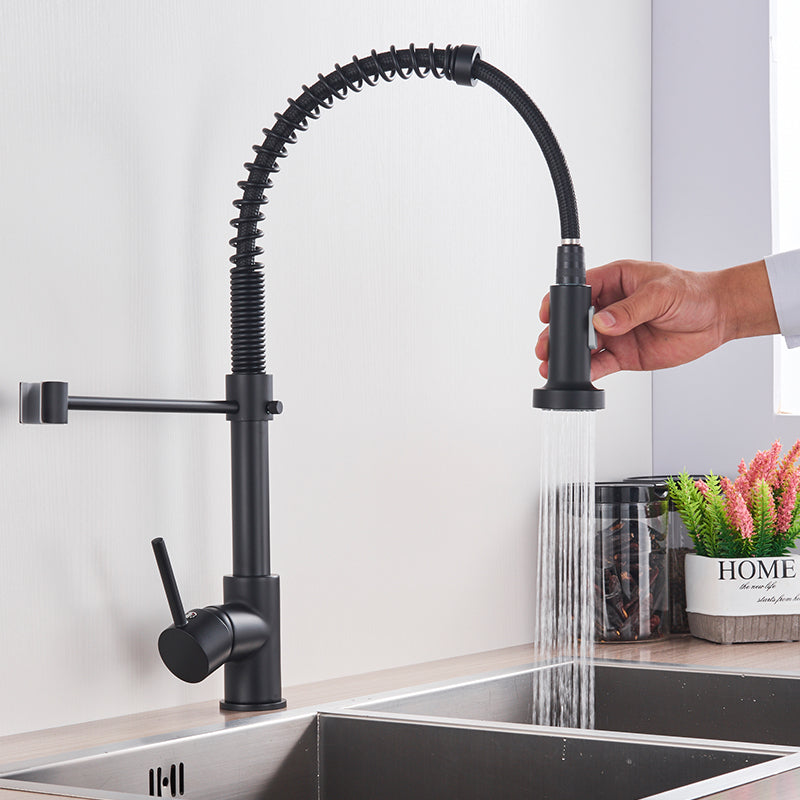 Zoovy Faucet - Sleek Matte Black Kitchen Faucet with Dual Spray