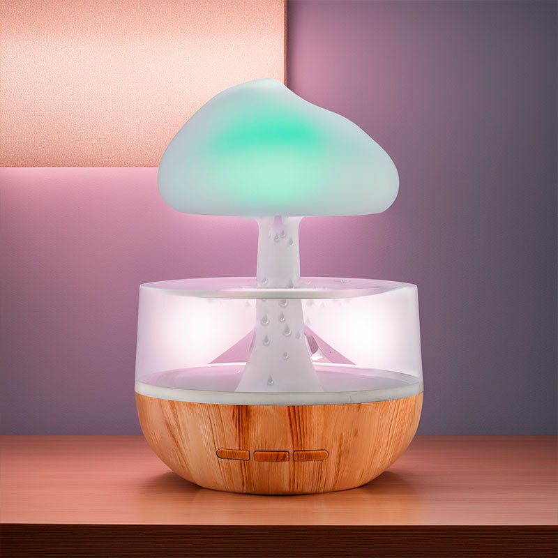 RainCloud - Elegant Design Air Humidifier for Home
