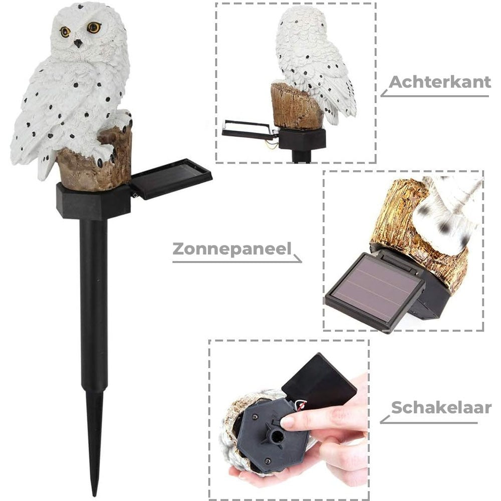 SolarGlow - Elegant Solar Lantern for Outdoors