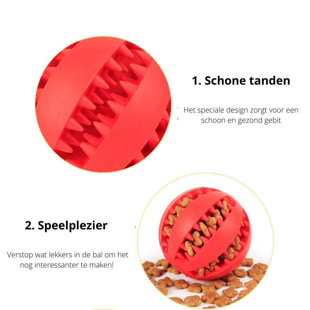 PlayMaster - Durable Interactive Dog Toy