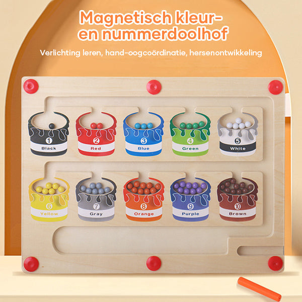 ColorMaze – Magnetic Colour & Number Maze
