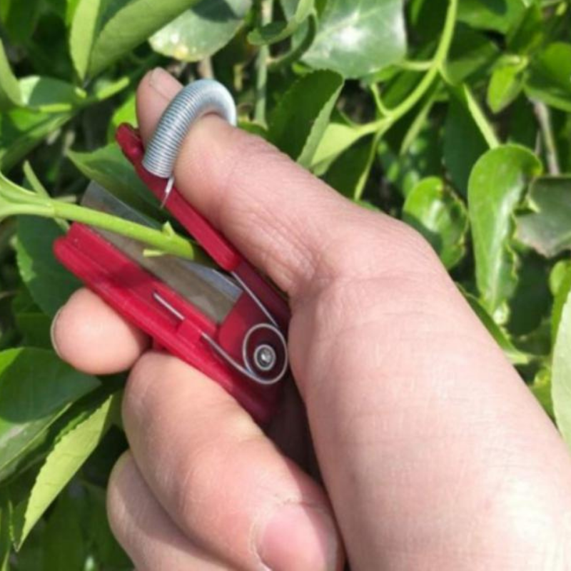 GardenGrip Tool - Effortless Fruit and Vegetable Harvesting Picker