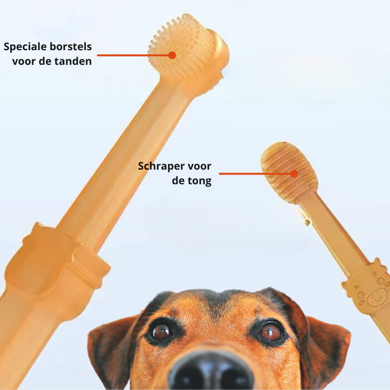 DoggyDent - Pet Finger Toothbrush for Dogs