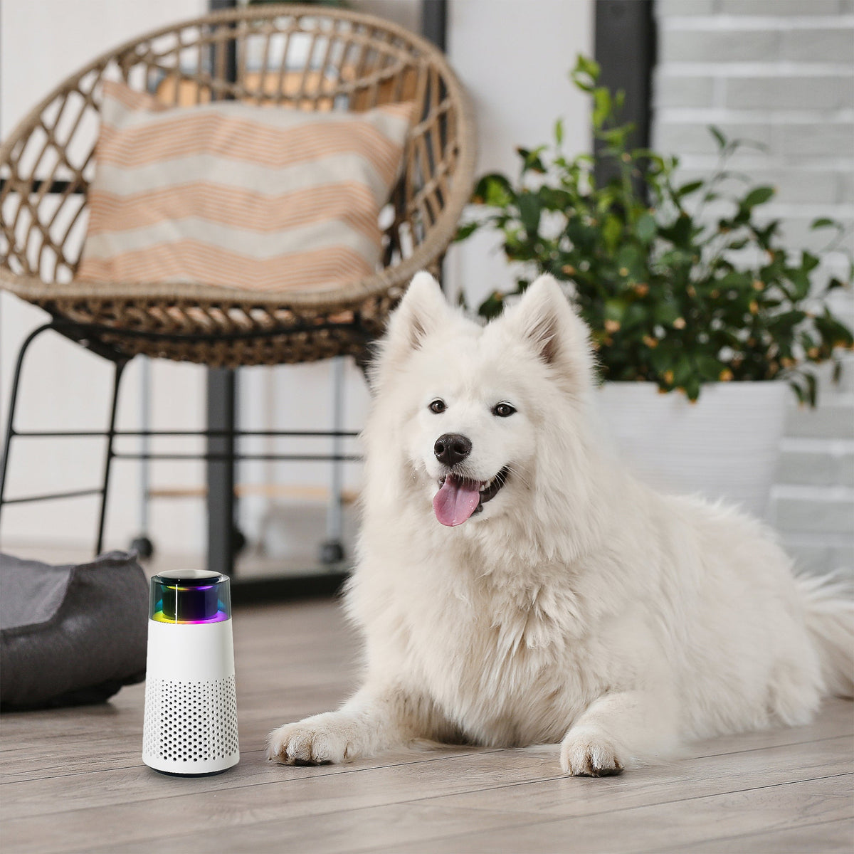PetFresh - Aromatic Pet Odor Diffuser and Humidifier
