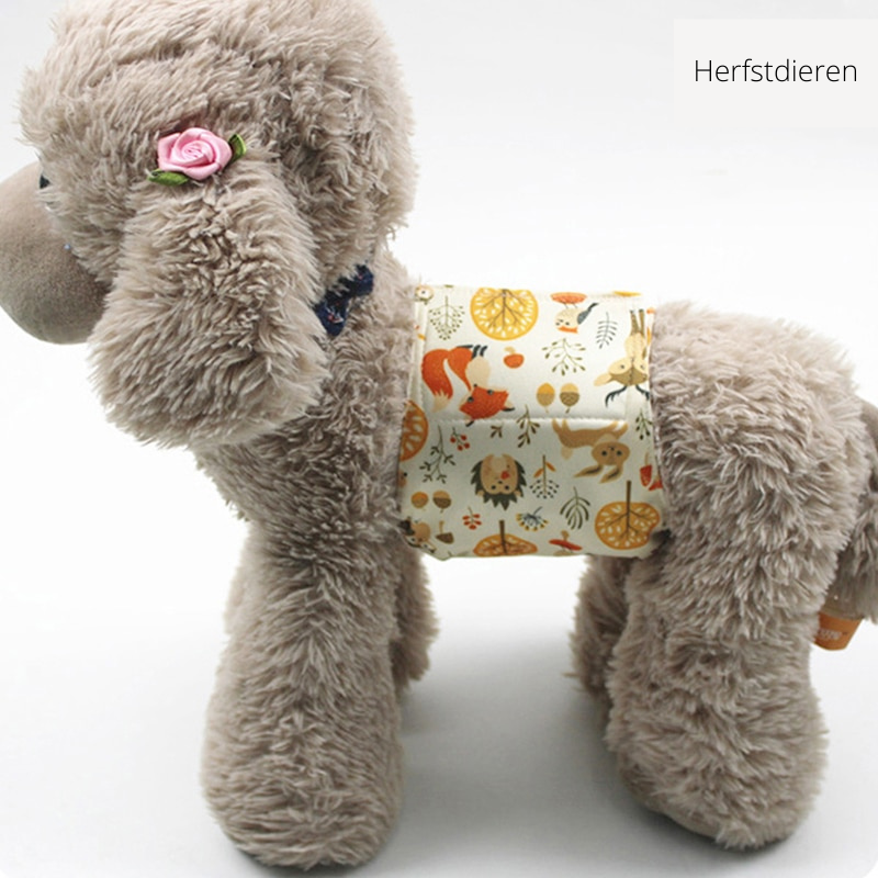 CleanPaw - Washable Dog Diaper for Comfort