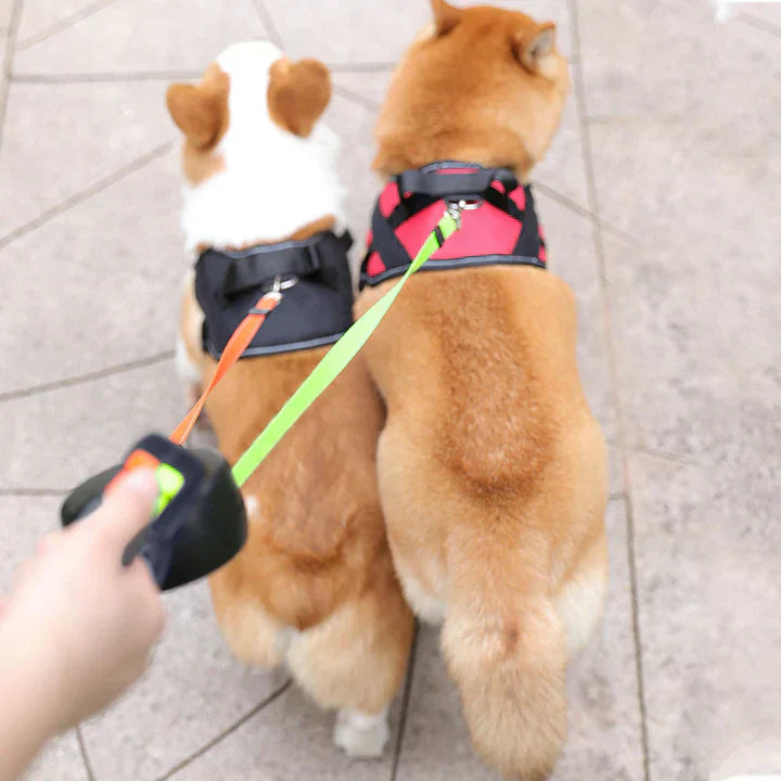 DuoPaw - Retractable Dual Dog Leash