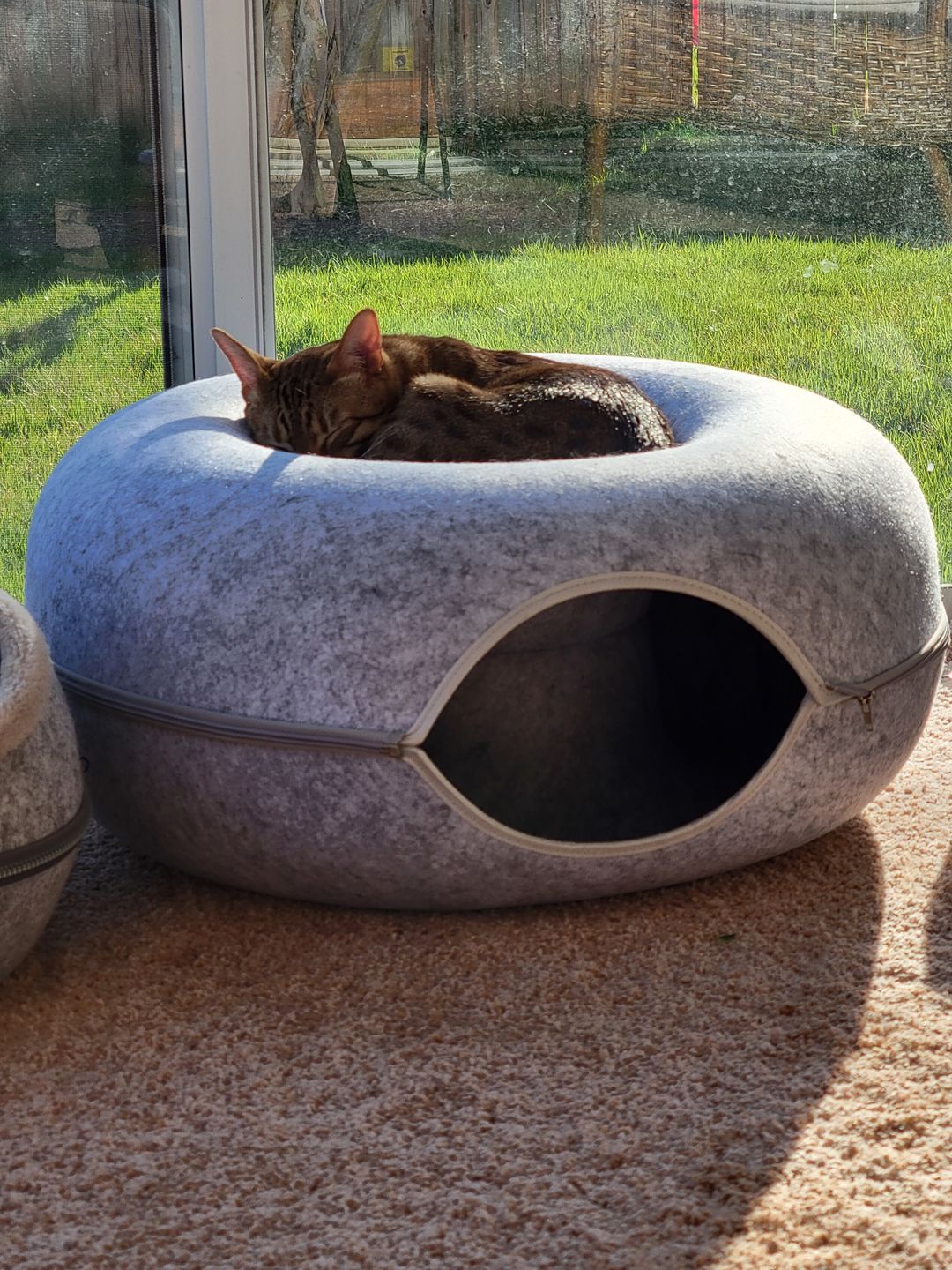 Purrfect Den - Cozy Cat Tunnel Bed with Plush Sleeping Nook