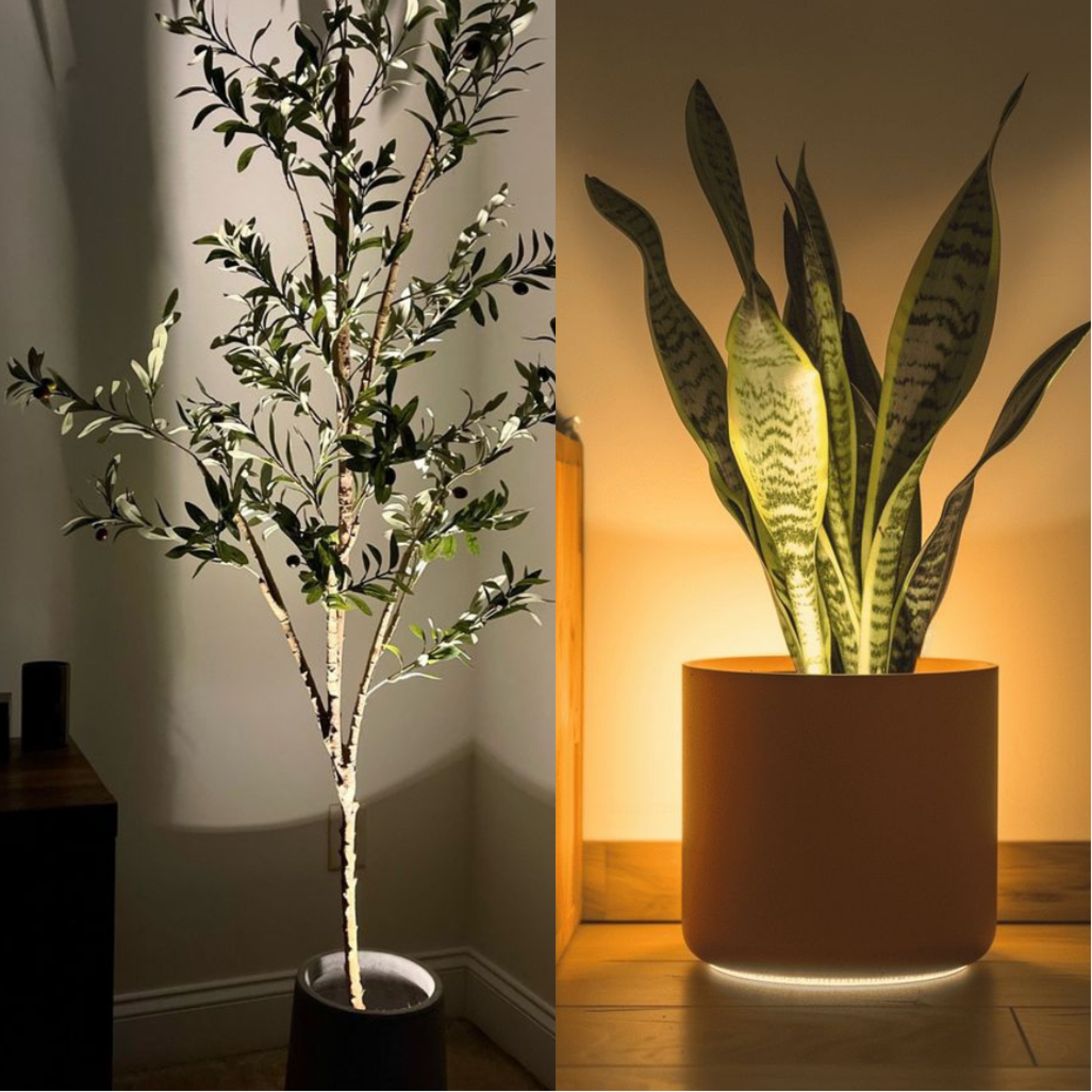 FloraGlow | Elegant Compact Wireless RGB Mood Spotlight 3