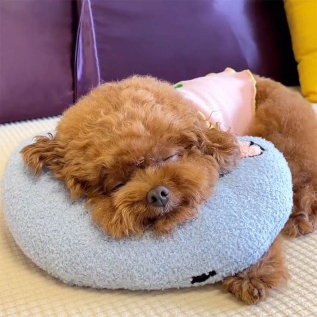 PetEase Luxe - Orthopedic Dog Bed for Calm, Restful Sleep