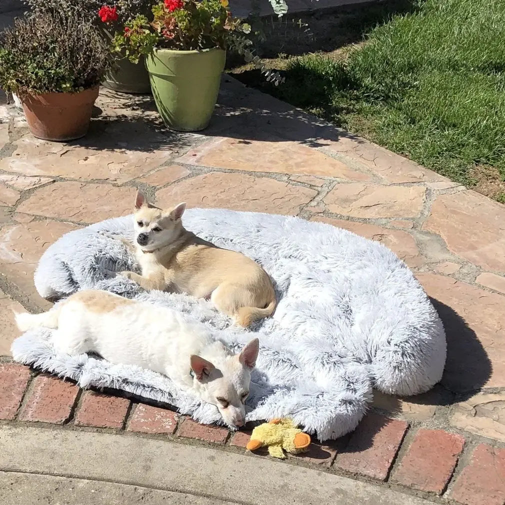 Quishy PetBed - Washable Plush Pet Blanket Bed