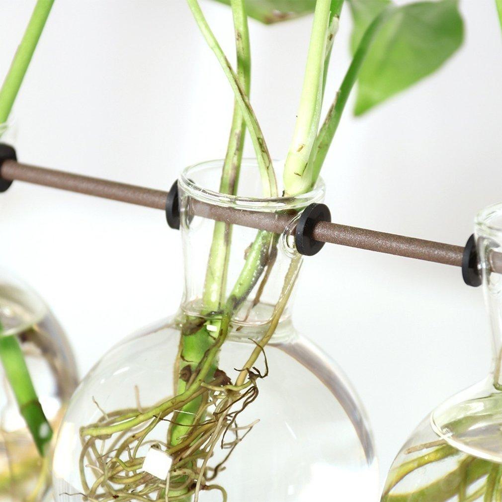 FaunaGrow Pots - Sustainable Plant Propagation Set