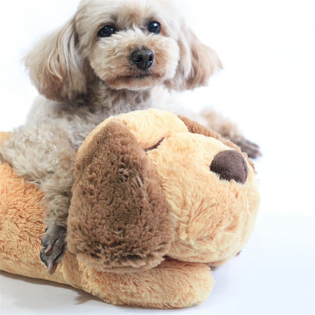 CuddlePup - Calming Heartbeat Puppy Comfort Toy