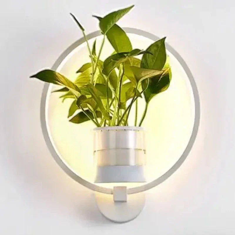 GreenLume – Sustainable LED Wall Light | Bright & Stylish Design
