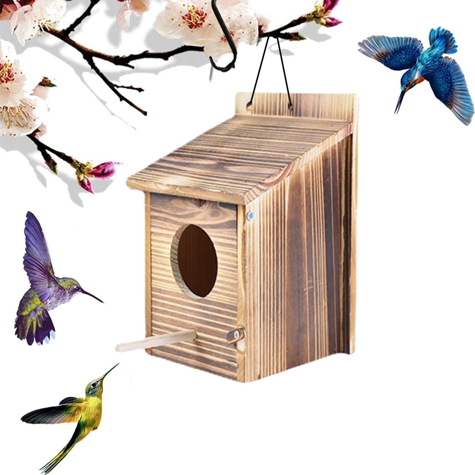 Maison Elmora | Natural Wooden Bird Nest Box with Easy Access Cleaning Door | Charming Habitat for Garden Birds 4